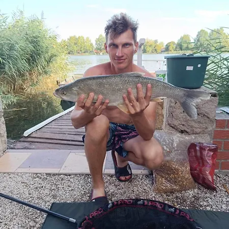 Σπίτι διακοπών Viktoria Dunaweekend Makád