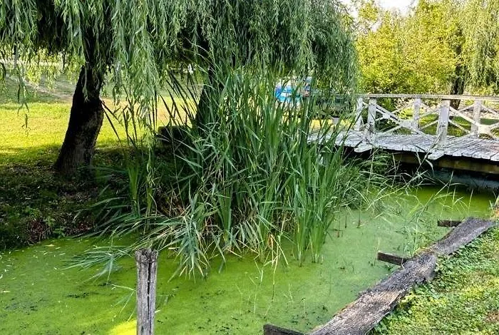 Viktória Dunaweekend Makád