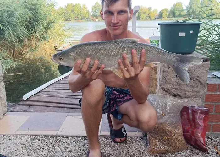 別荘 Viktoria Dunaweekend Makád